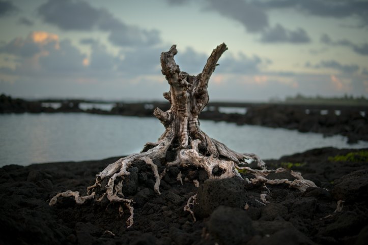 clint-mckoy-442156-unsplash