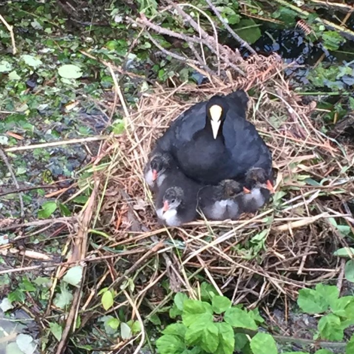 34da0c74-991c-466e-9f26-abd8056ee921